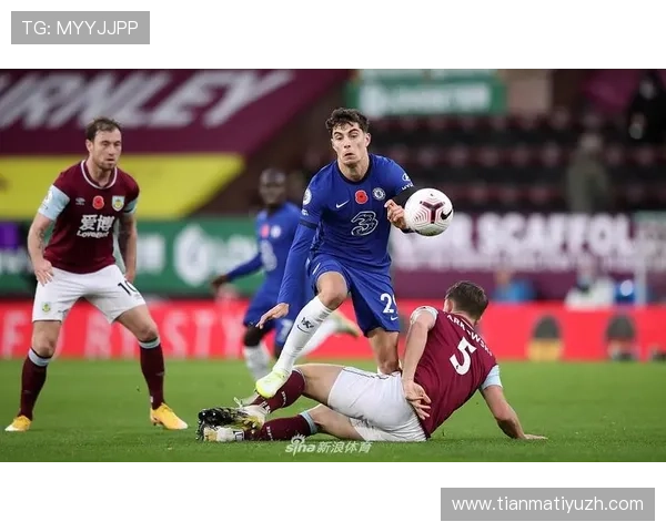 爱博体育官方地址安全登录指南，保障个人信息安全，畅享精彩体育娱乐体验