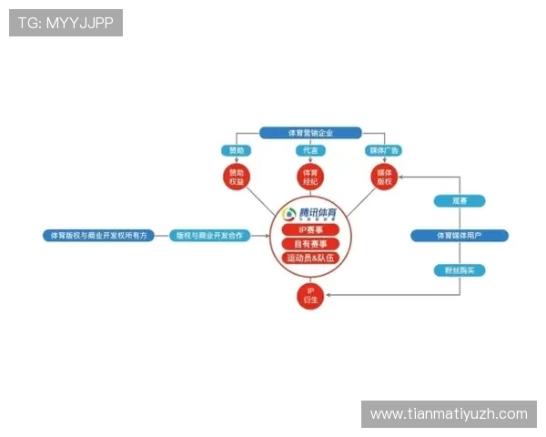 顶胜体育在体育赛事赞助与合作中的战略布局及未来发展方向全面解读行业动态
