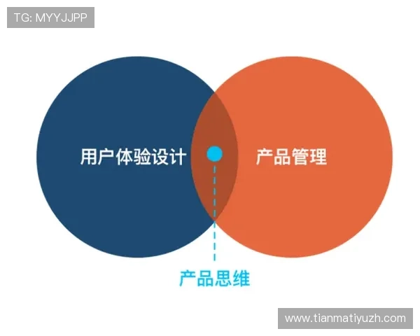 678体育平台网页版最新功能更新，提升用户体验的实用技巧与操作指南